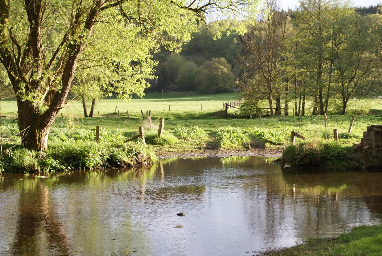 Le Gite De L Ourthe Ortheuville Exterior photo
